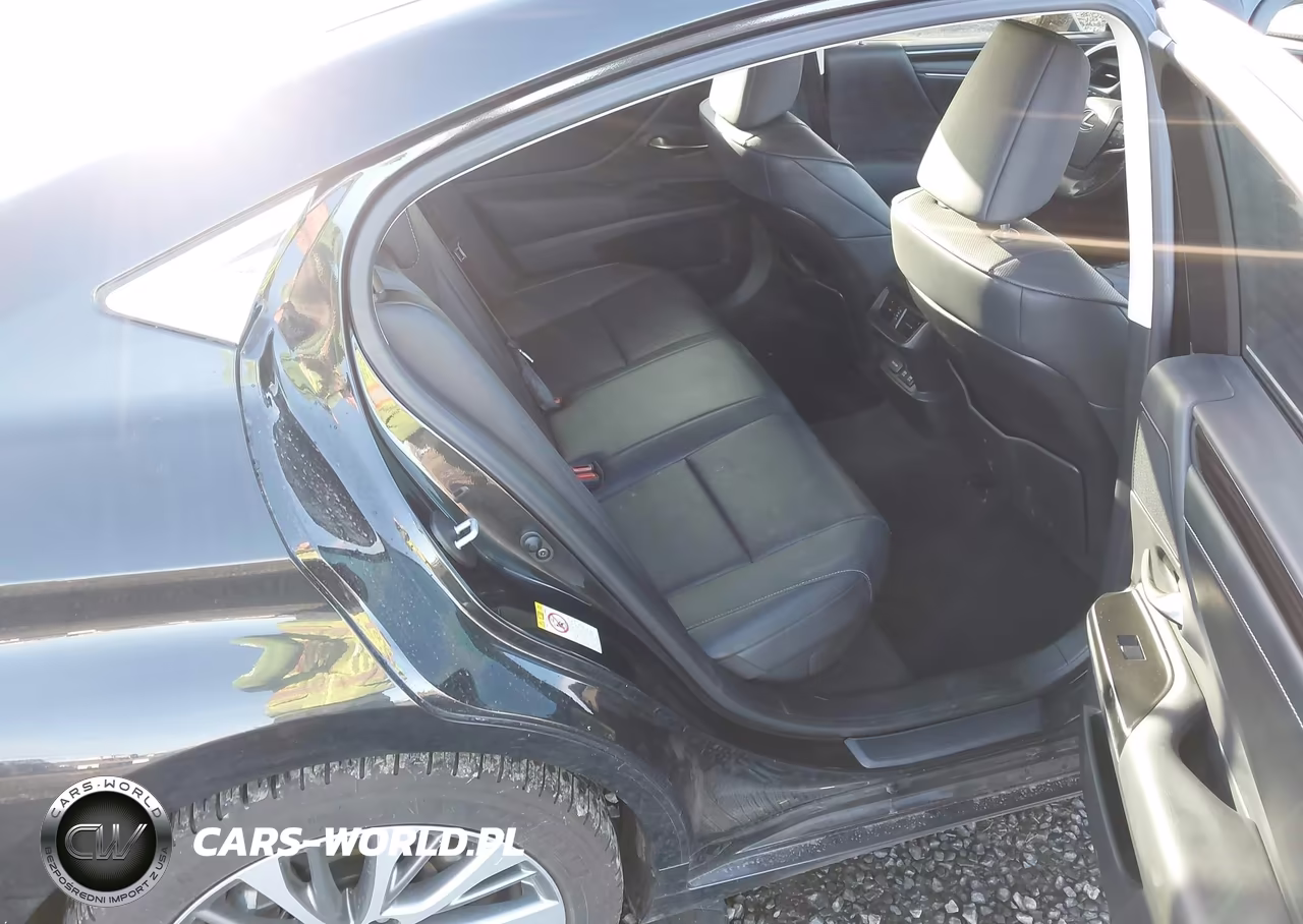 2019 Lexus Es 300H VIN:JTHB21B11K2032637 - 8