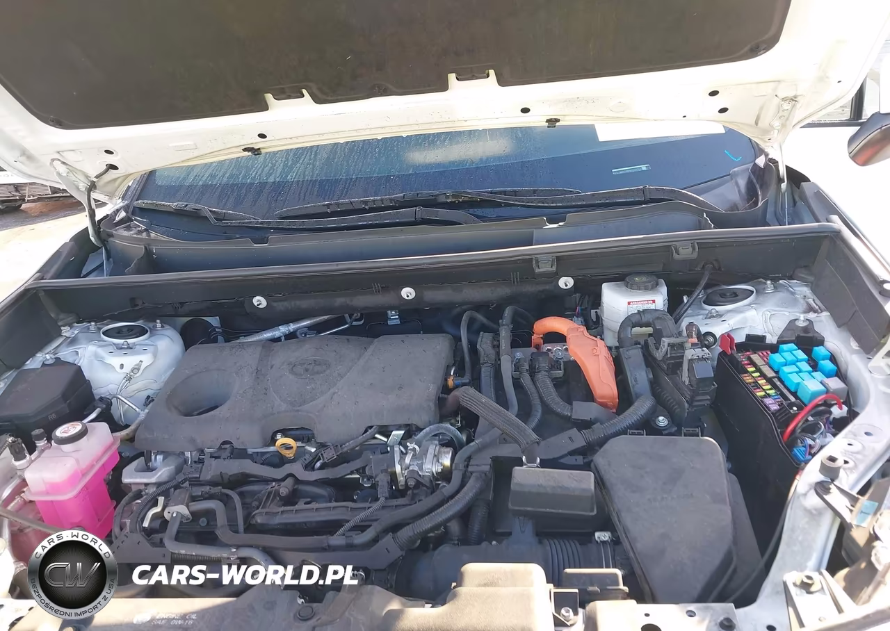 2024 Toyota Rav4 Hybrid Xle VIN:4T3RWRFVXRU139719 - 10
