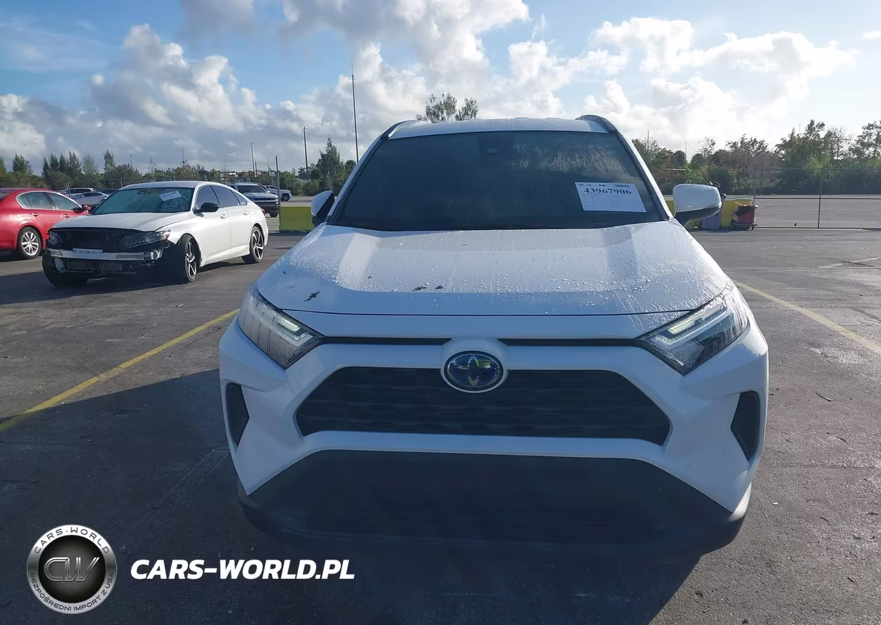 2024 Toyota Rav4 Hybrid Xle VIN:4T3RWRFVXRU139719 - 12