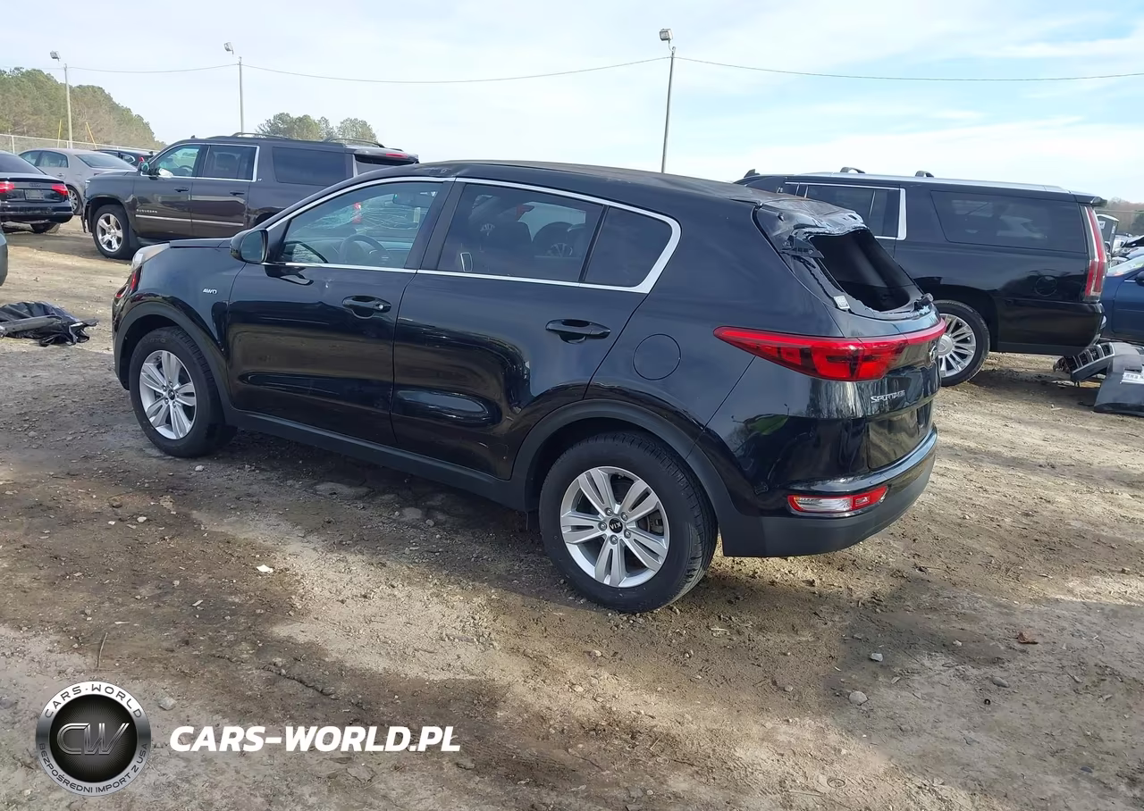 2018 Kia Sportage Lx VIN:KNDPMCAC0J7436207 - 3