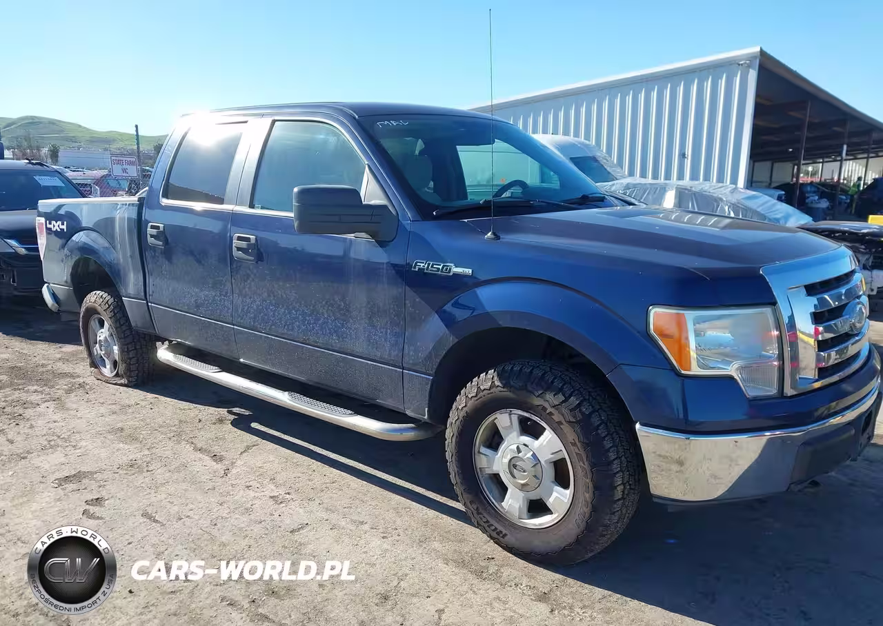 2009 Ford F-150 Fx4-King Ranch-Lariat-Platinum-Xl-Xlt