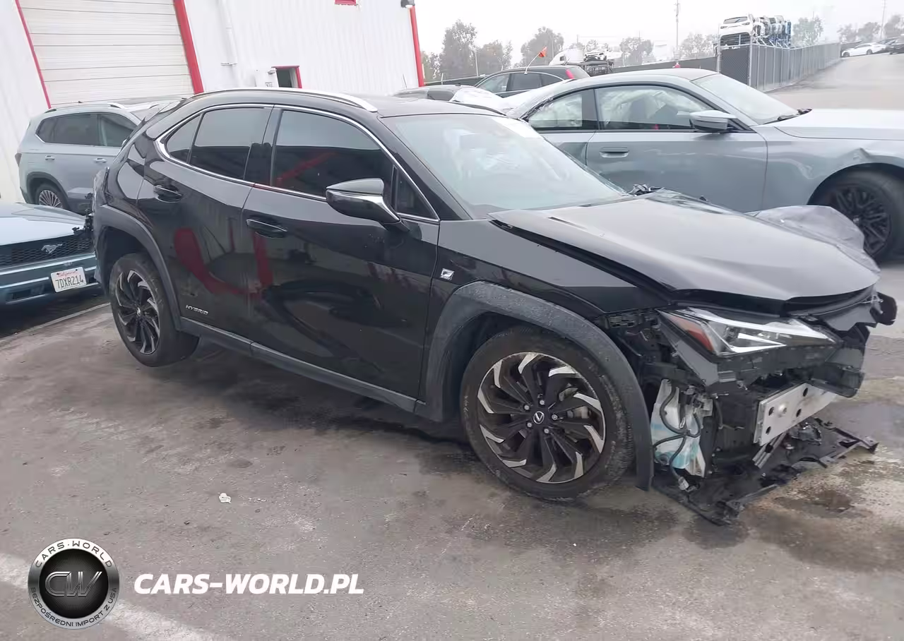 2020 Lexus Ux 250H F Sport