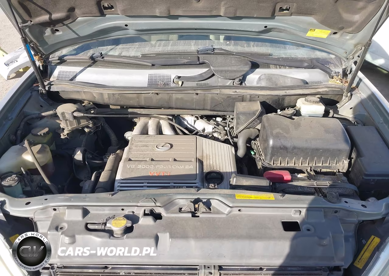 2001 Lexus Rx 300 VIN:JTJHF10UX10188146 - 10