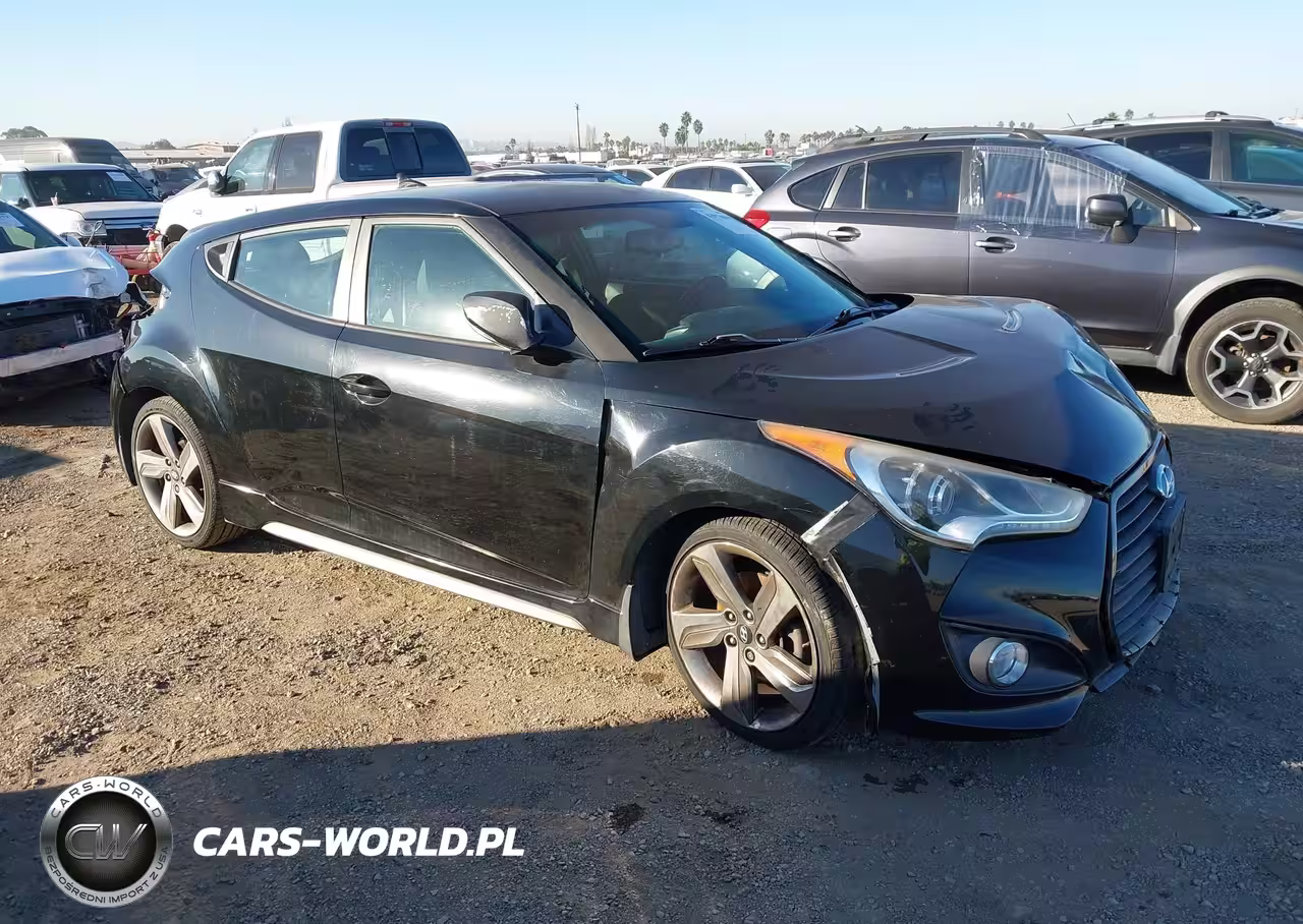 2013 Hyundai Veloster Turbo W-Black