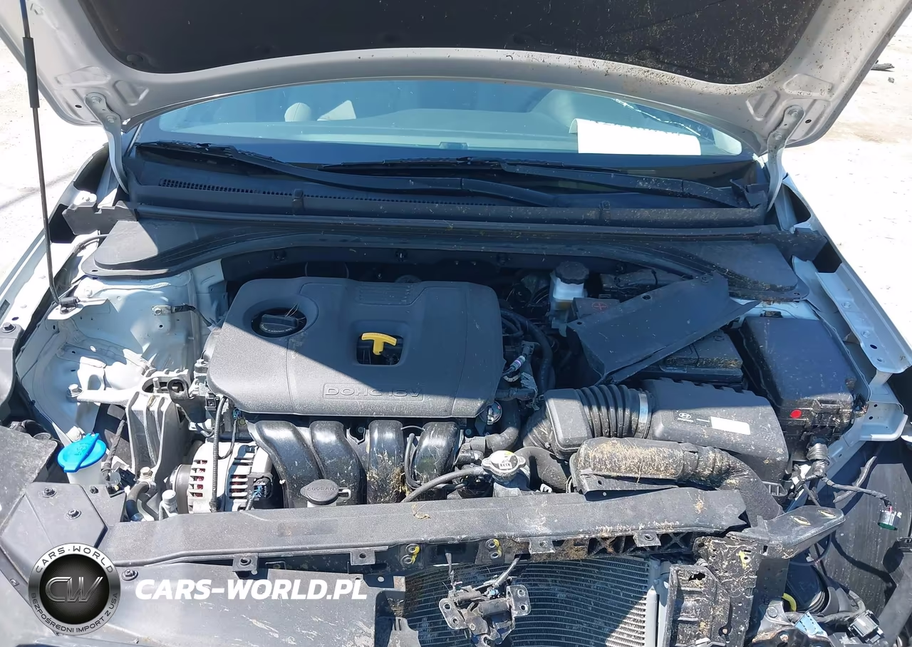 2019 Hyundai Elantra Sel VIN:5NPD84LF1KH493940 - 10
