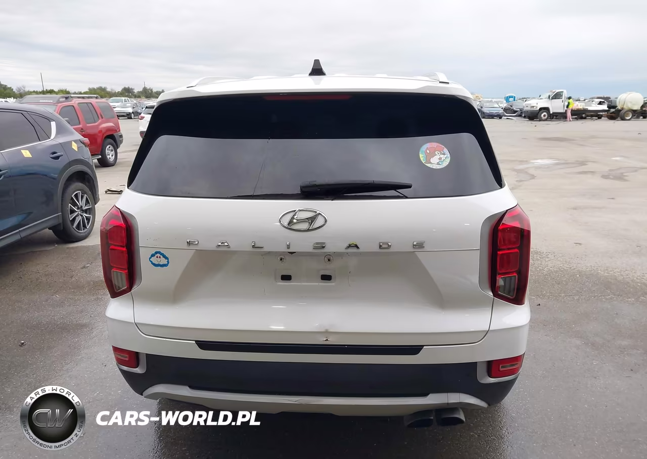 2020 Hyundai Palisade Sel VIN:KM8R44HE4LU109721 - 17