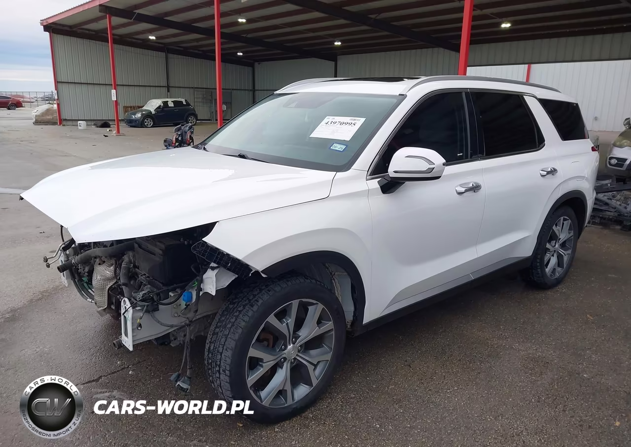2020 Hyundai Palisade Sel VIN:KM8R44HE4LU109721 - 2