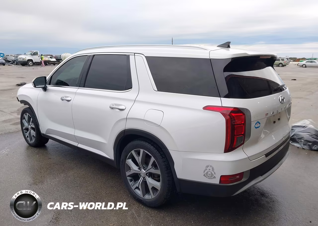 2020 Hyundai Palisade Sel VIN:KM8R44HE4LU109721 - 3