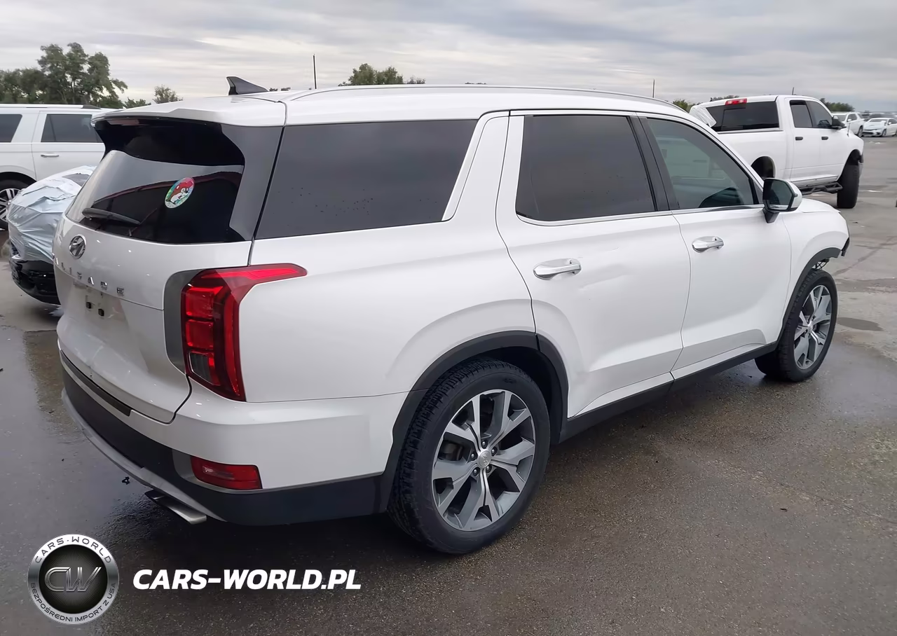 2020 Hyundai Palisade Sel VIN:KM8R44HE4LU109721 - 4