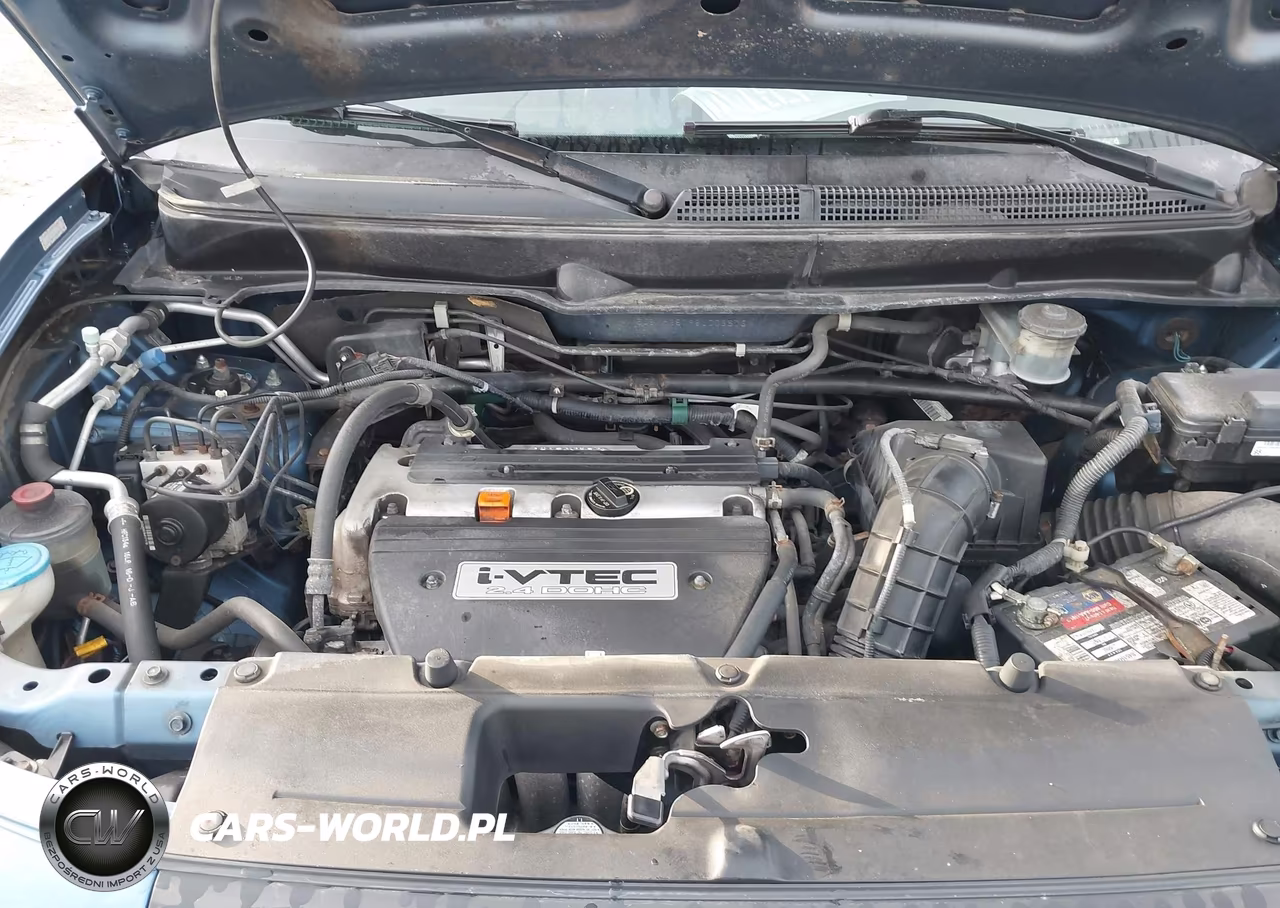 2008 Honda Element Ex VIN:5J6YH28798L003573 - 10
