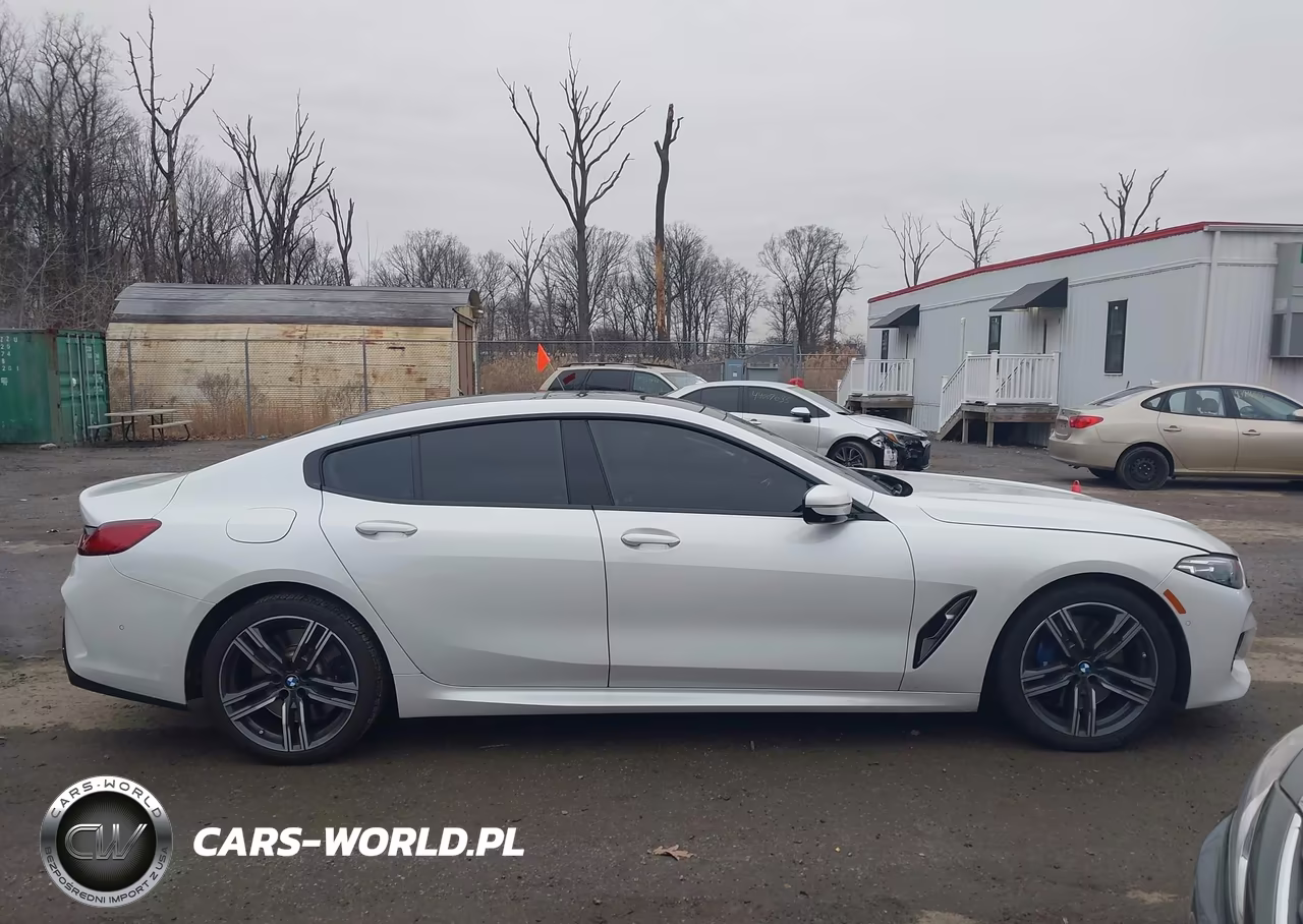 2020 BMW 840I Gran Coupe xDrive VIN:WBAGV4C08LCE03097 - 13