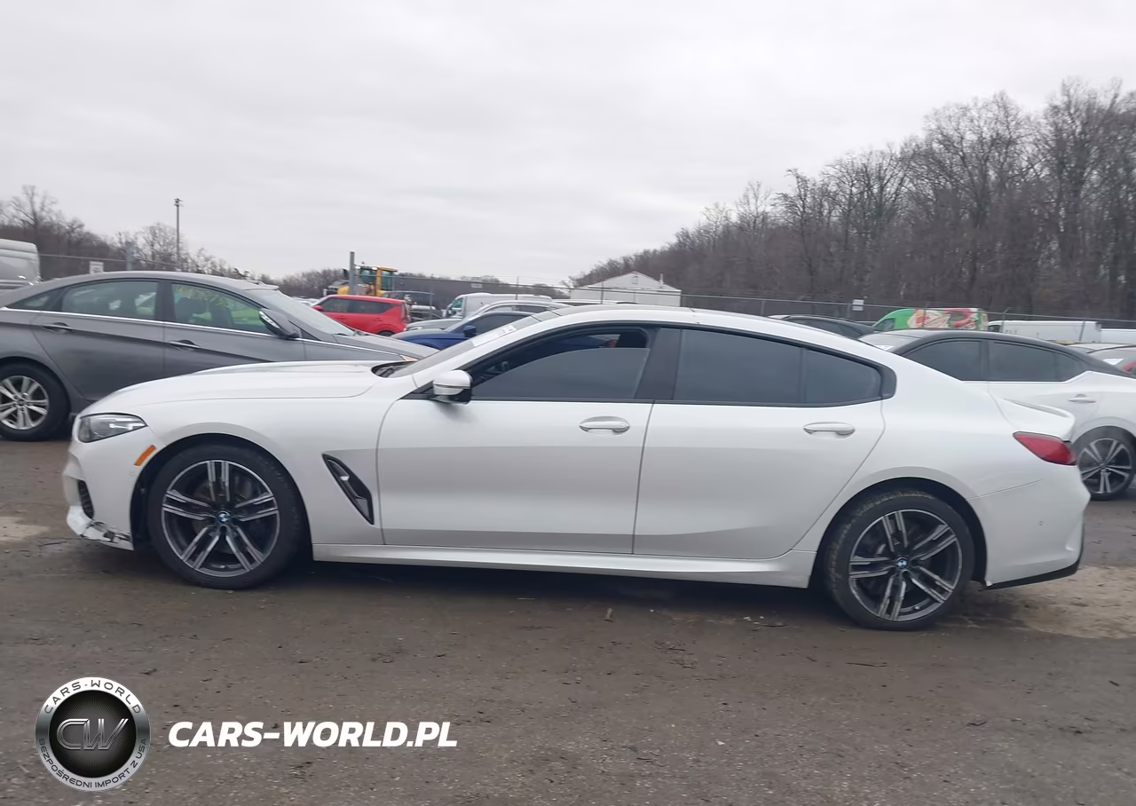 2020 BMW 840I Gran Coupe xDrive VIN:WBAGV4C08LCE03097 - 14