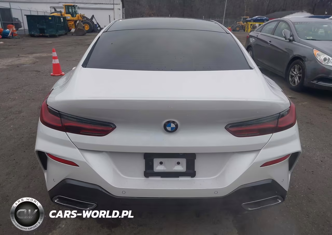 2020 BMW 840I Gran Coupe xDrive VIN:WBAGV4C08LCE03097 - 16
