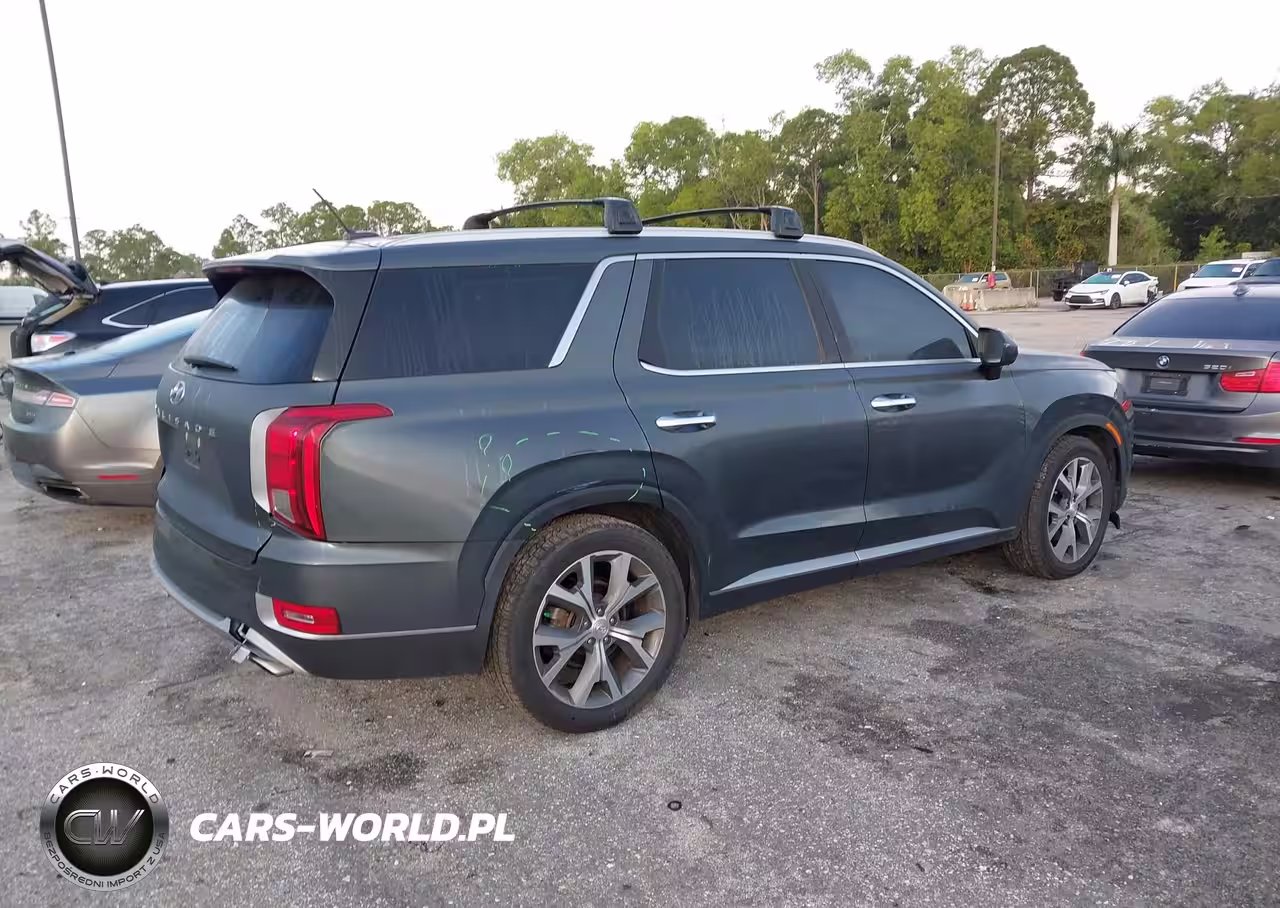 2022 Hyundai Palisade Sel VIN:KM8R34HE8NU415326 - 4