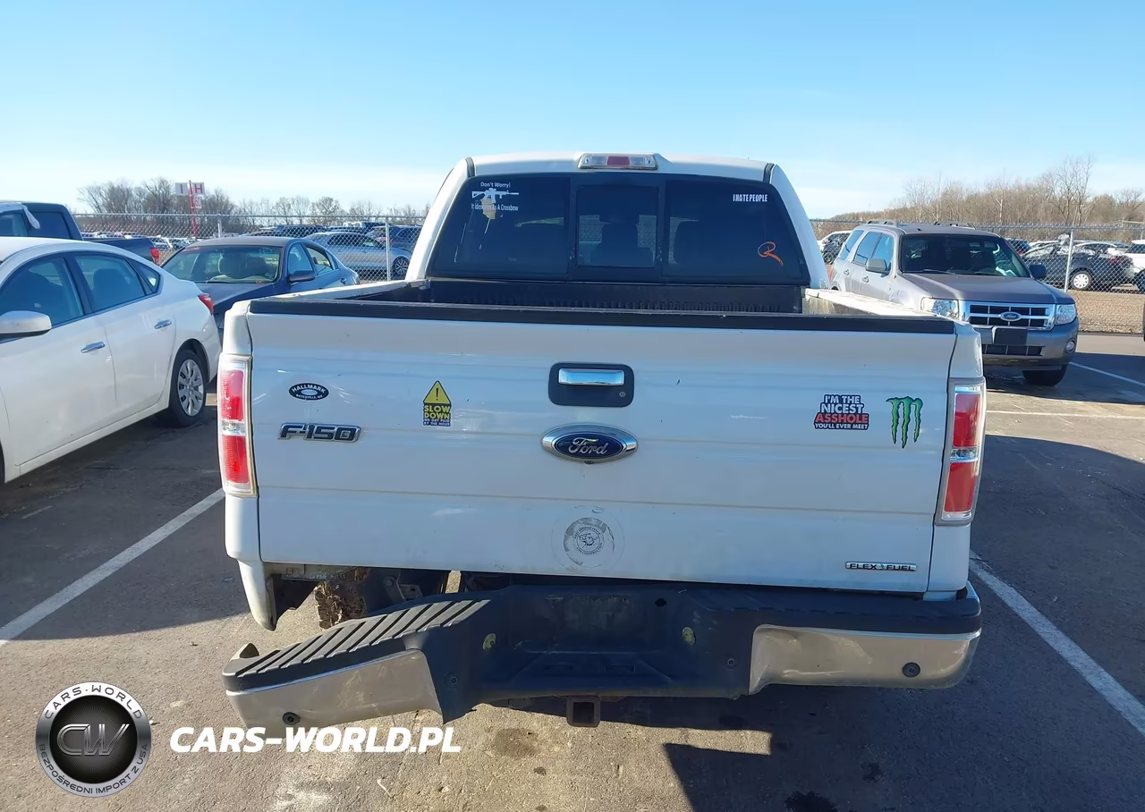 2013 Ford F-150 Xlt VIN:1FTFW1CF4DFD37885 - 16
