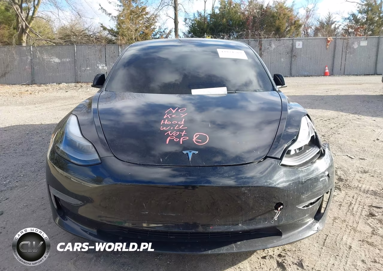 2022 Tesla Model 3 Long Range Dual Motor All-Wheel Drive VIN:5YJ3E1EB4NF189811 - 11