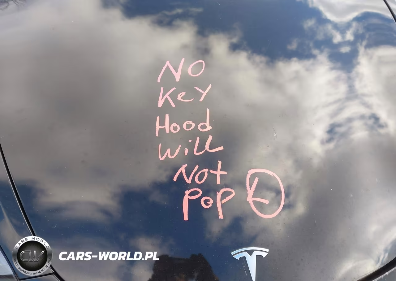 2022 Tesla Model 3 Long Range Dual Motor All-Wheel Drive VIN:5YJ3E1EB4NF189811 - 14