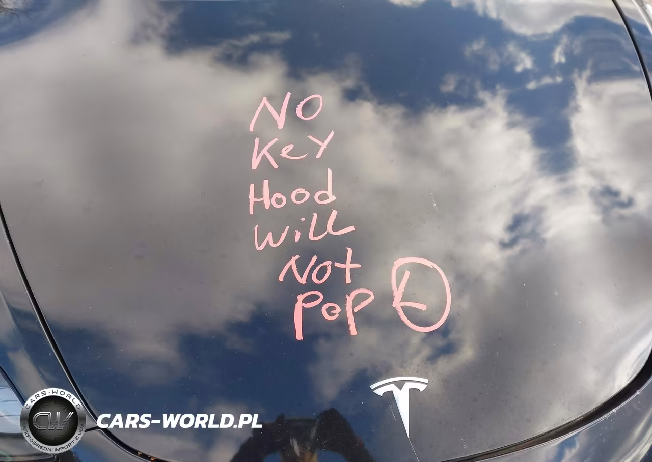 2022 Tesla Model 3 Long Range Dual Motor All-Wheel Drive VIN:5YJ3E1EB4NF189811 - 16