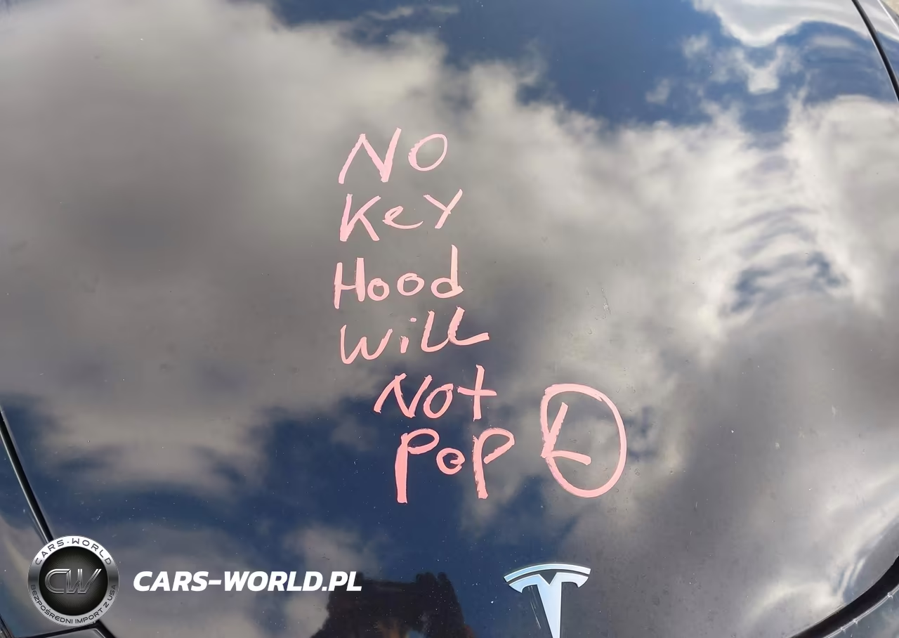 2022 Tesla Model 3 Long Range Dual Motor All-Wheel Drive VIN:5YJ3E1EB4NF189811 - 17