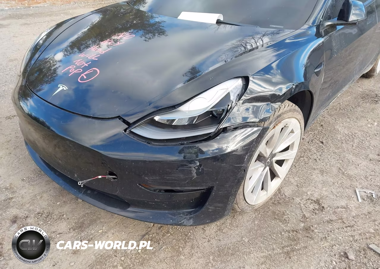 2022 Tesla Model 3 Long Range Dual Motor All-Wheel Drive VIN:5YJ3E1EB4NF189811 - 6
