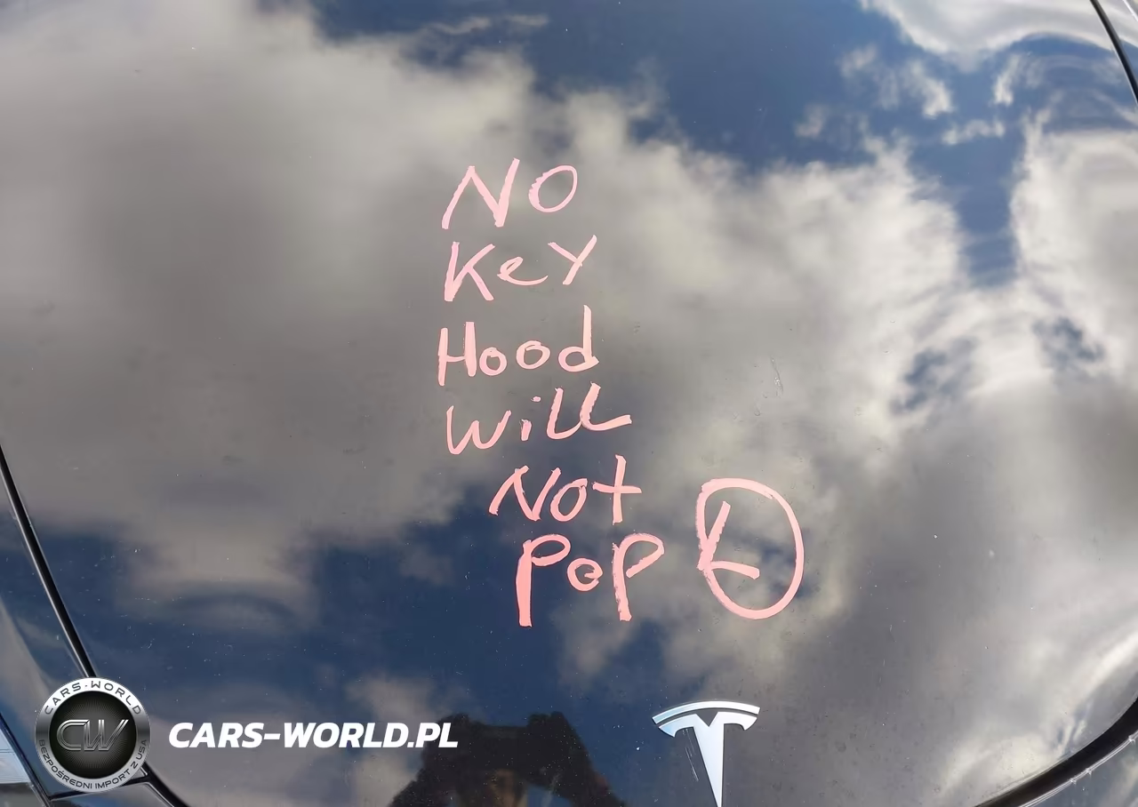 2022 Tesla Model 3 Long Range Dual Motor All-Wheel Drive VIN:5YJ3E1EB4NF189811 - 7