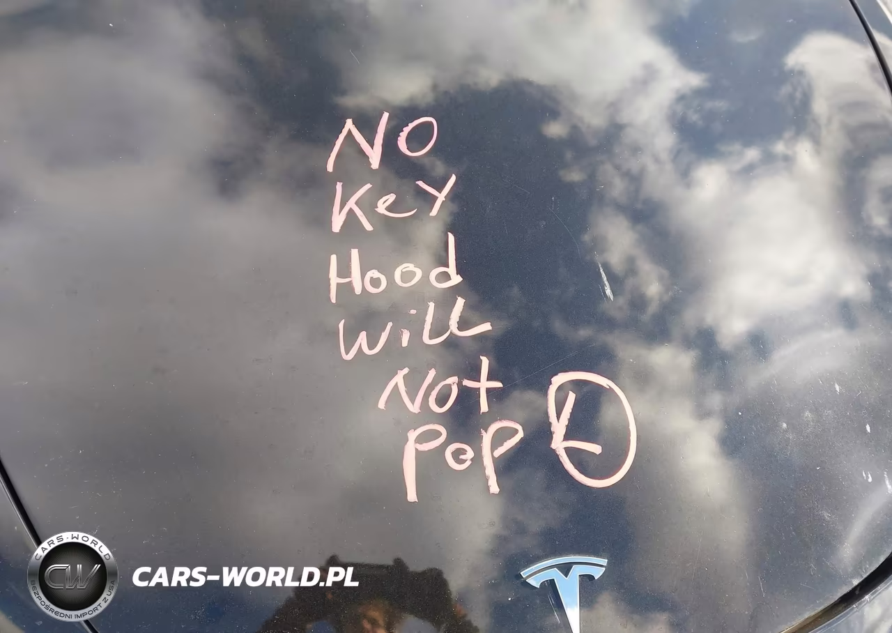 2022 Tesla Model 3 Long Range Dual Motor All-Wheel Drive VIN:5YJ3E1EB4NF189811 - 8