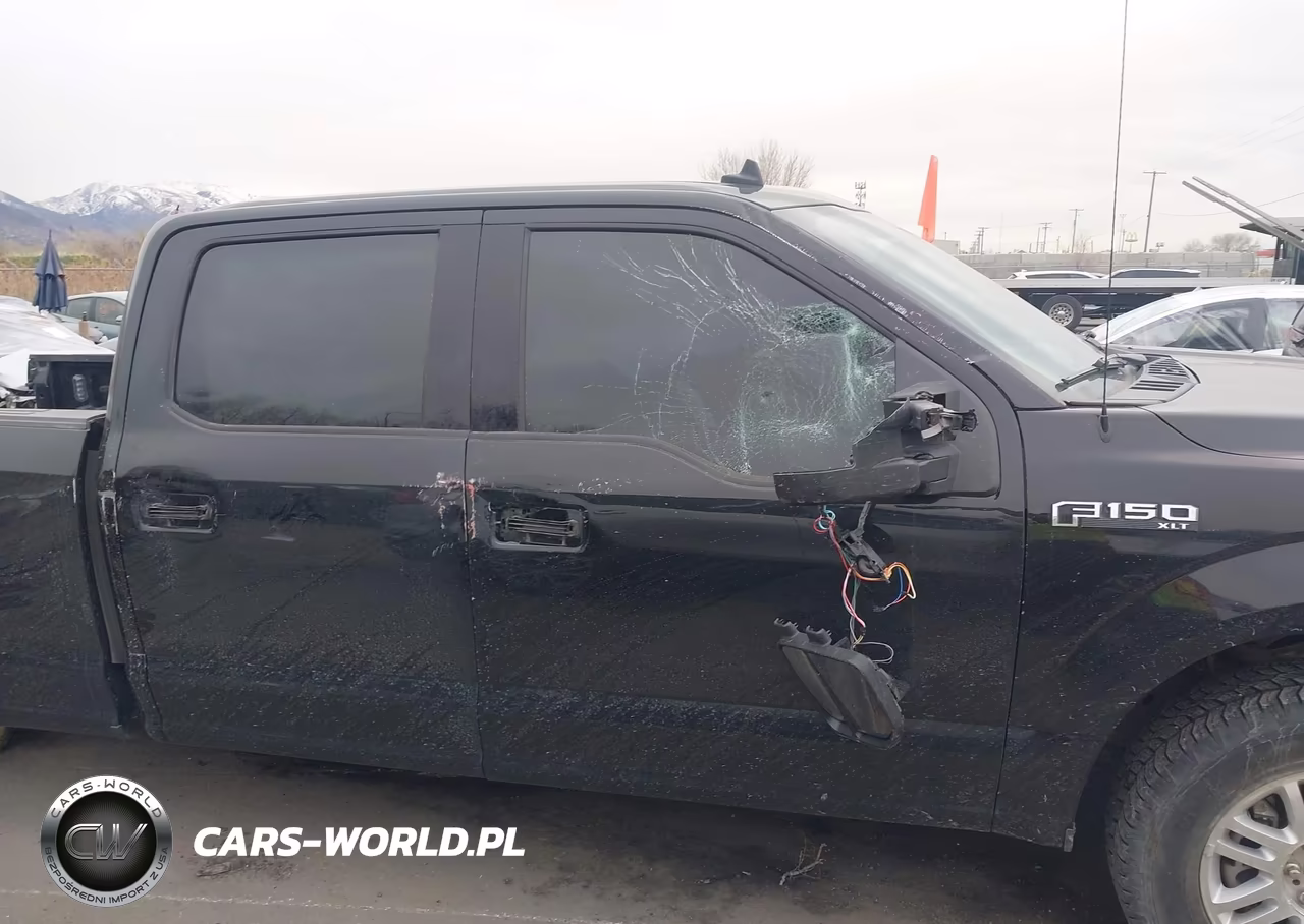 2020 Ford F-150 Xlt VIN:1FTFW1E40LKD44799 - 13