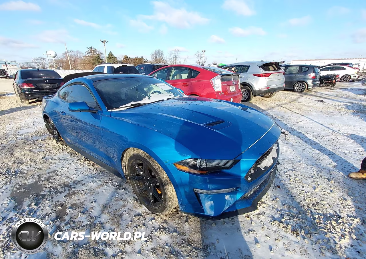 2019 Ford Mustang Ecoboost