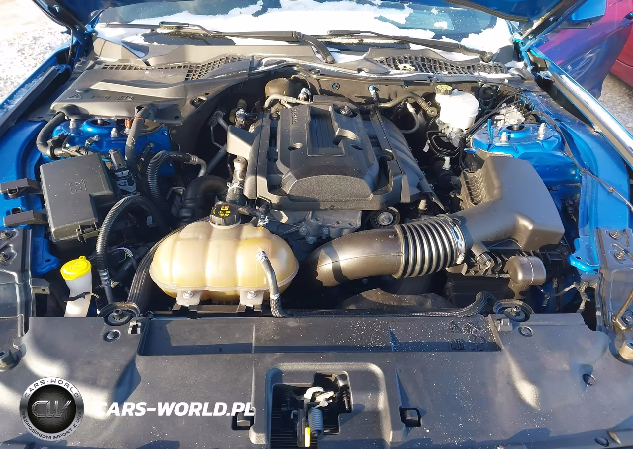 2019 Ford Mustang Ecoboost VIN:1FA6P8TH2K5192877 - 10