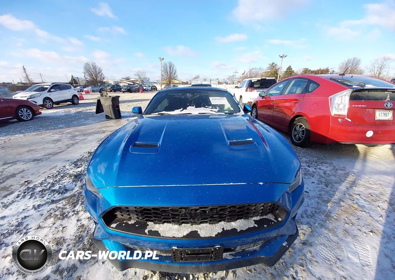2019 Ford Mustang Ecoboost VIN:1FA6P8TH2K5192877 - 11