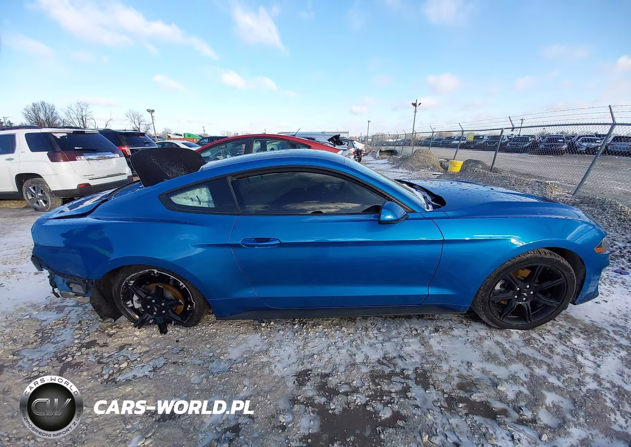 2019 Ford Mustang Ecoboost VIN:1FA6P8TH2K5192877 - 12