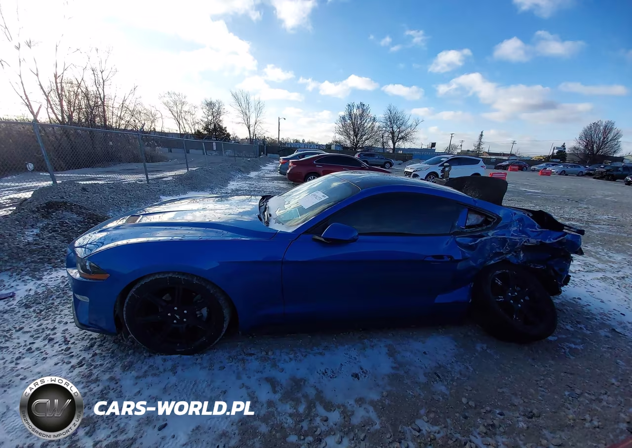 2019 Ford Mustang Ecoboost VIN:1FA6P8TH2K5192877 - 13