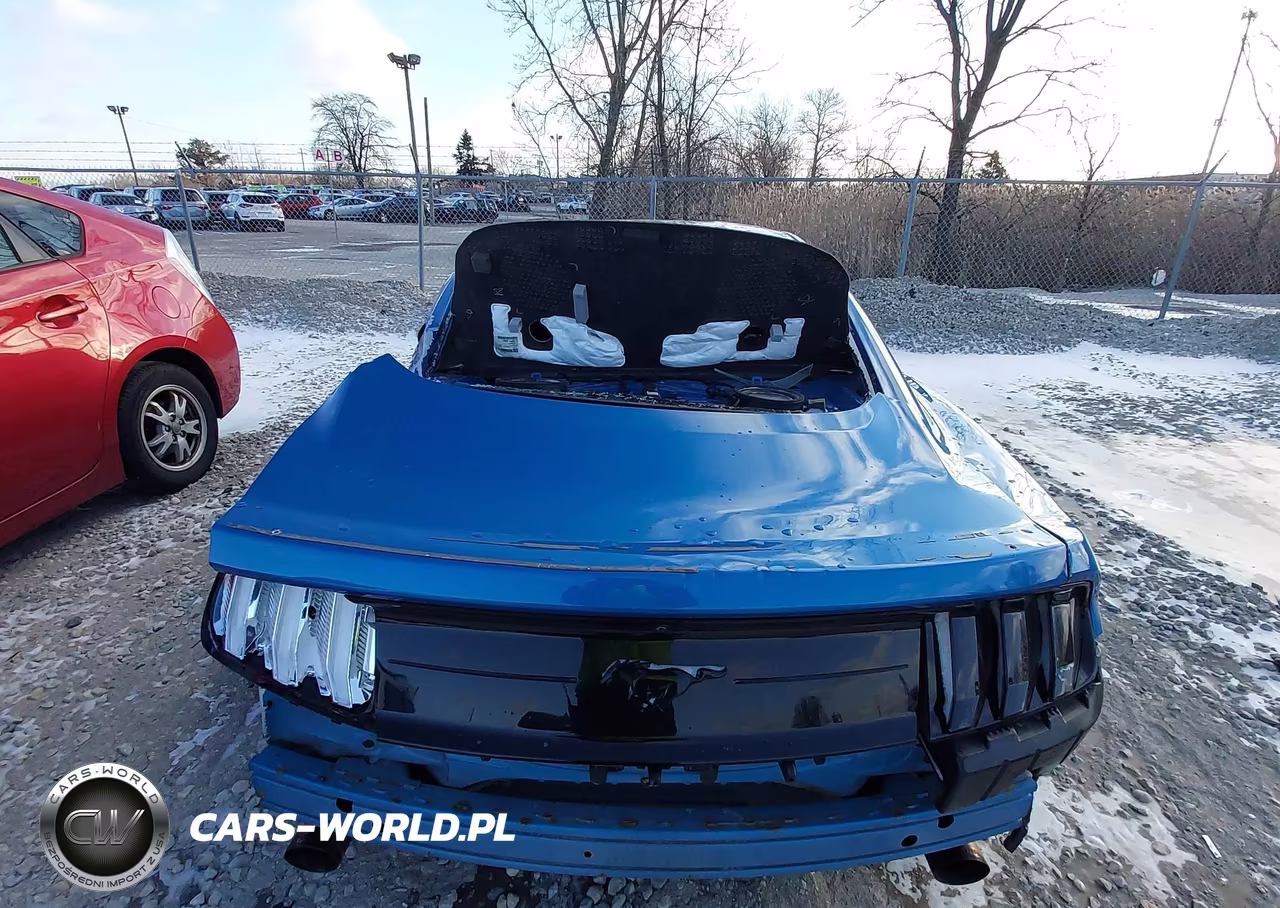 2019 Ford Mustang Ecoboost VIN:1FA6P8TH2K5192877 - 15