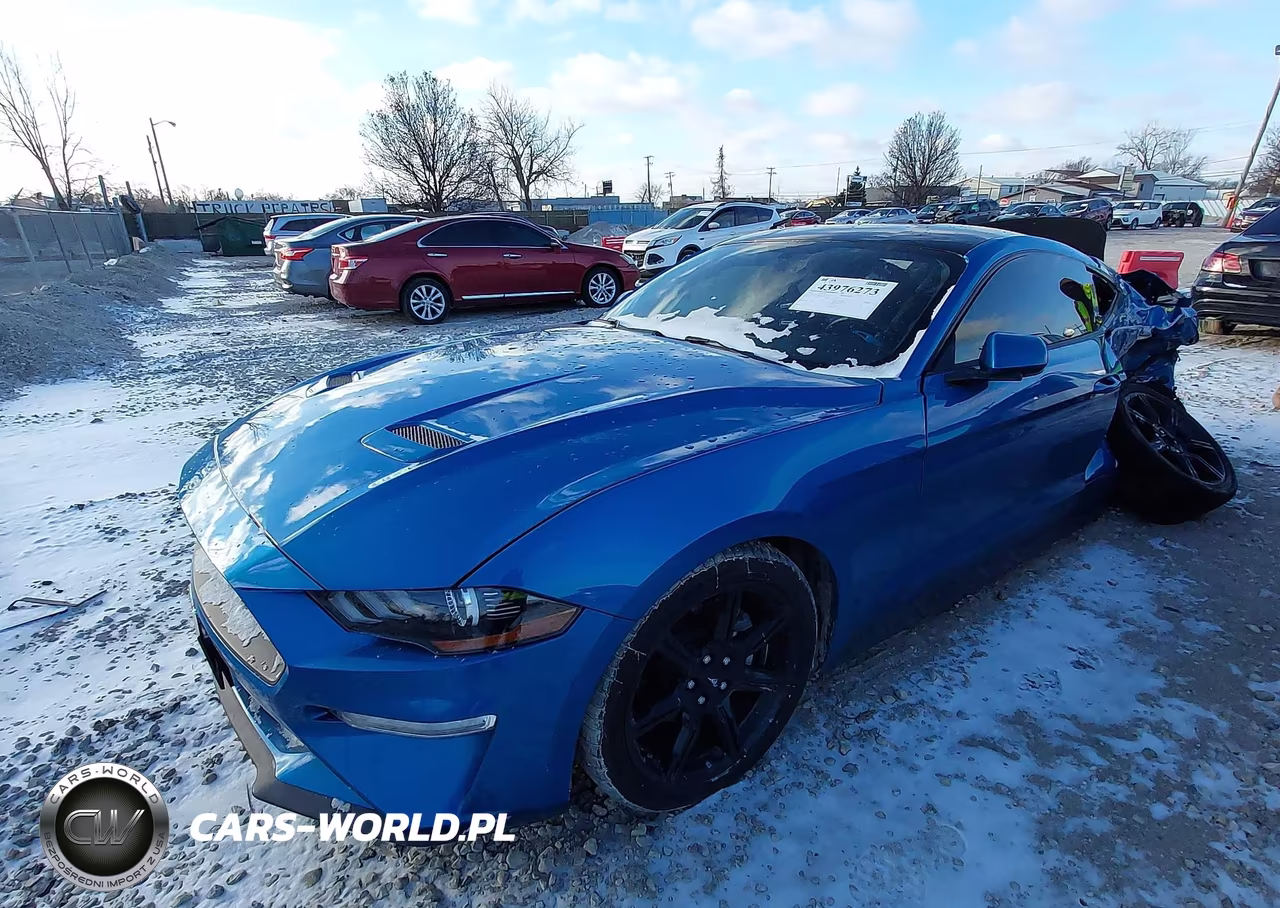 2019 Ford Mustang Ecoboost VIN:1FA6P8TH2K5192877 - 2