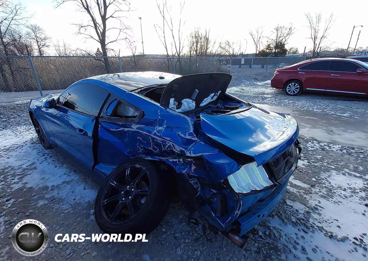 2019 Ford Mustang Ecoboost VIN:1FA6P8TH2K5192877 - 3