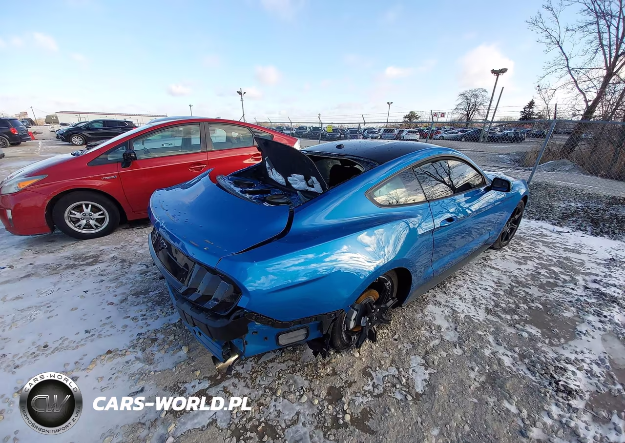 2019 Ford Mustang Ecoboost VIN:1FA6P8TH2K5192877 - 4