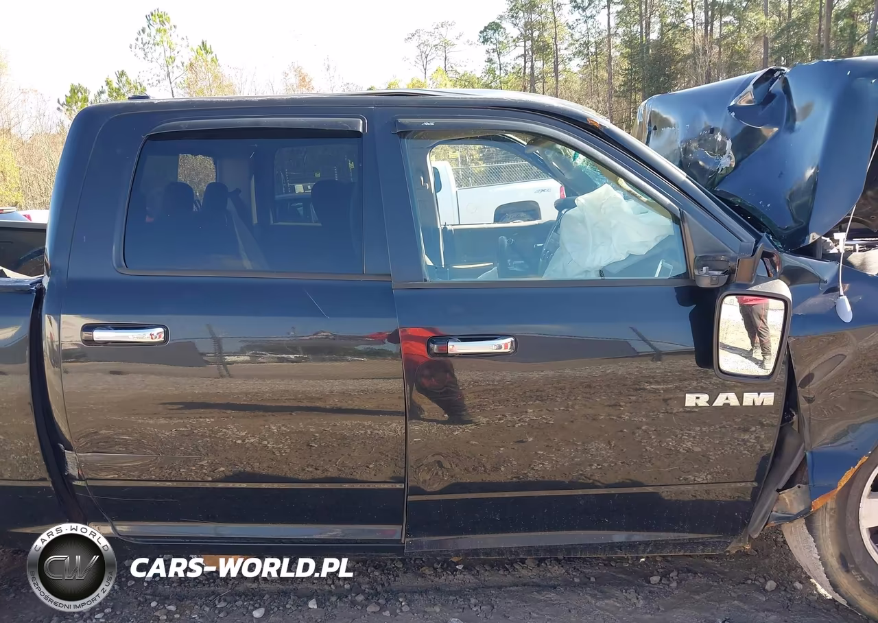 2010 Dodge Ram 1500 Slt-Sport-Trx VIN:1D7RB1CP7AS196420 - 13