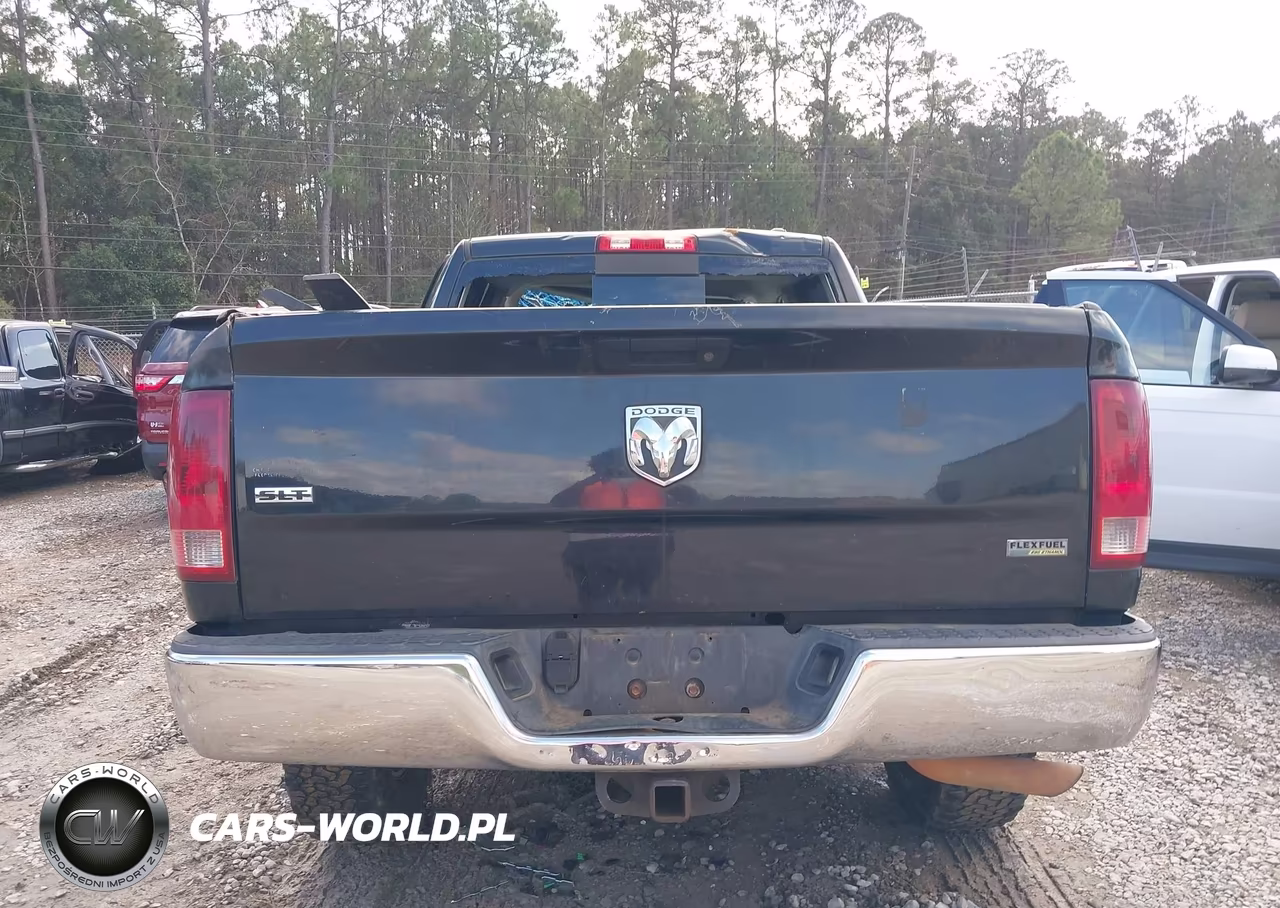 2010 Dodge Ram 1500 Slt-Sport-Trx VIN:1D7RB1CP7AS196420 - 16