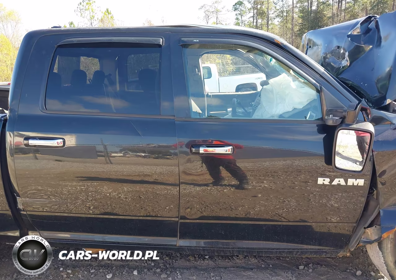 2010 Dodge Ram 1500 Slt-Sport-Trx VIN:1D7RB1CP7AS196420 - 18