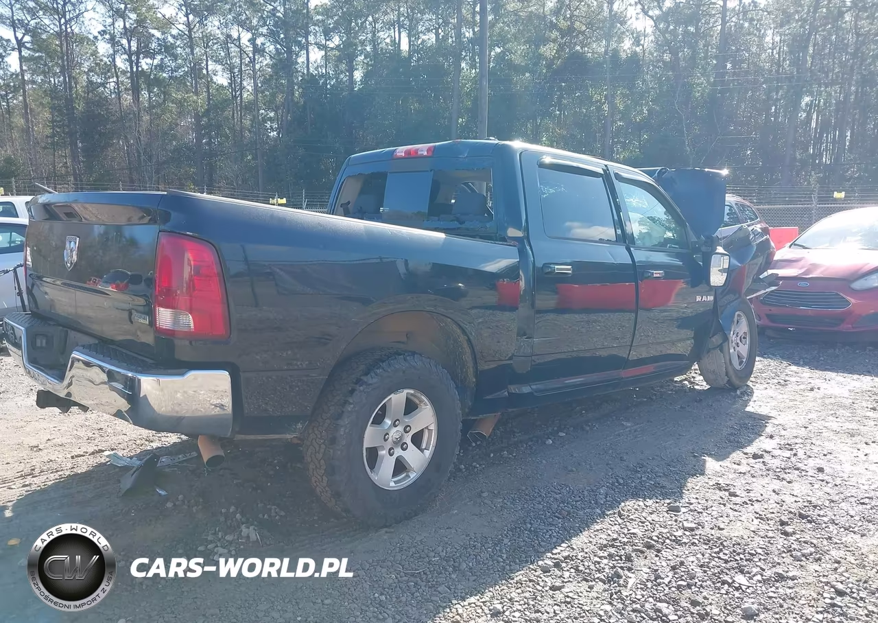 2010 Dodge Ram 1500 Slt-Sport-Trx VIN:1D7RB1CP7AS196420 - 4
