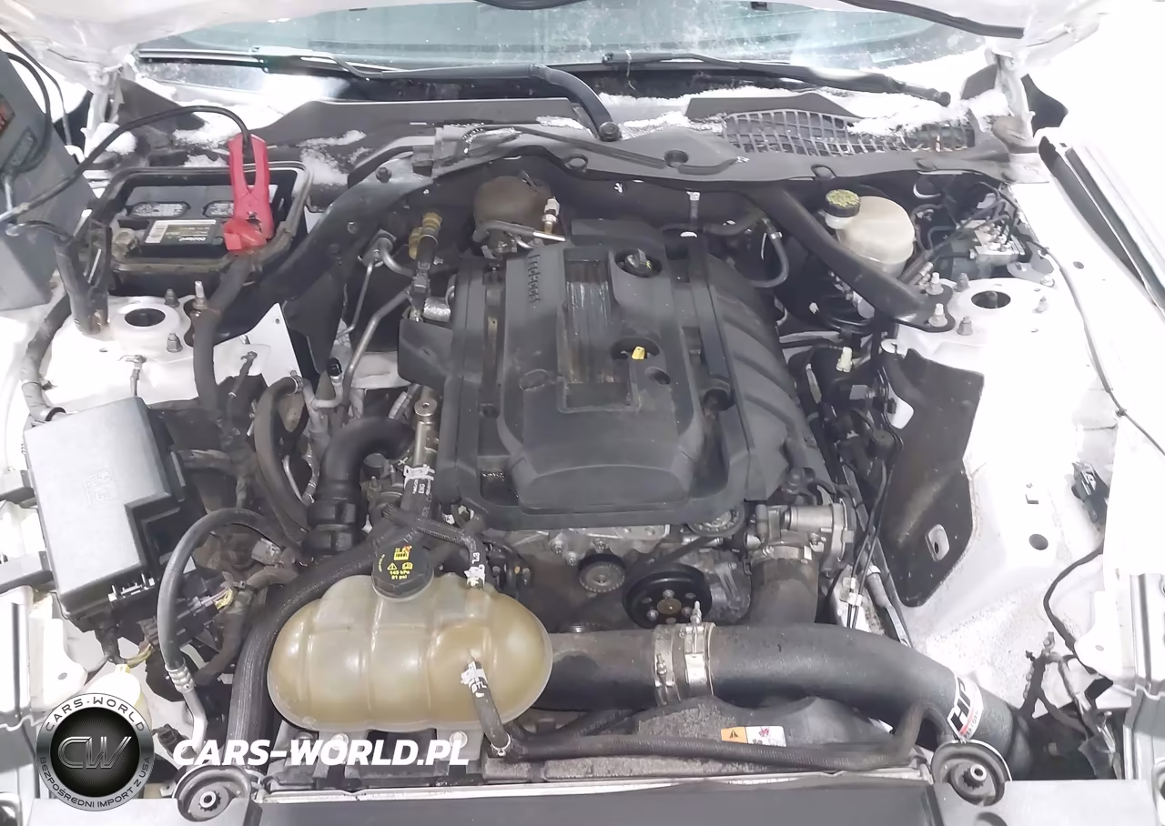 2016 Ford Mustang Ecoboost VIN:1FA6P8TH6G5334042 - 10