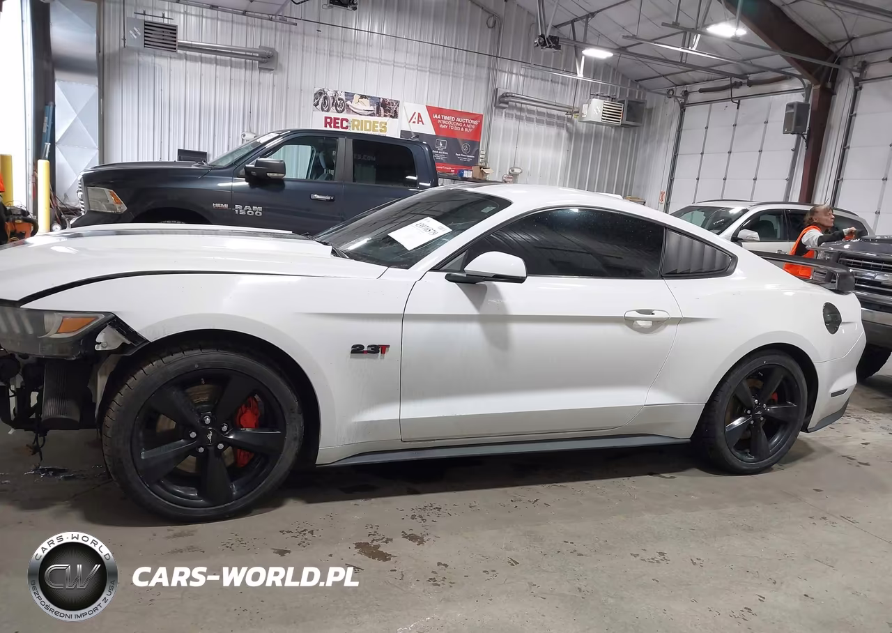 2016 Ford Mustang Ecoboost VIN:1FA6P8TH6G5334042 - 14