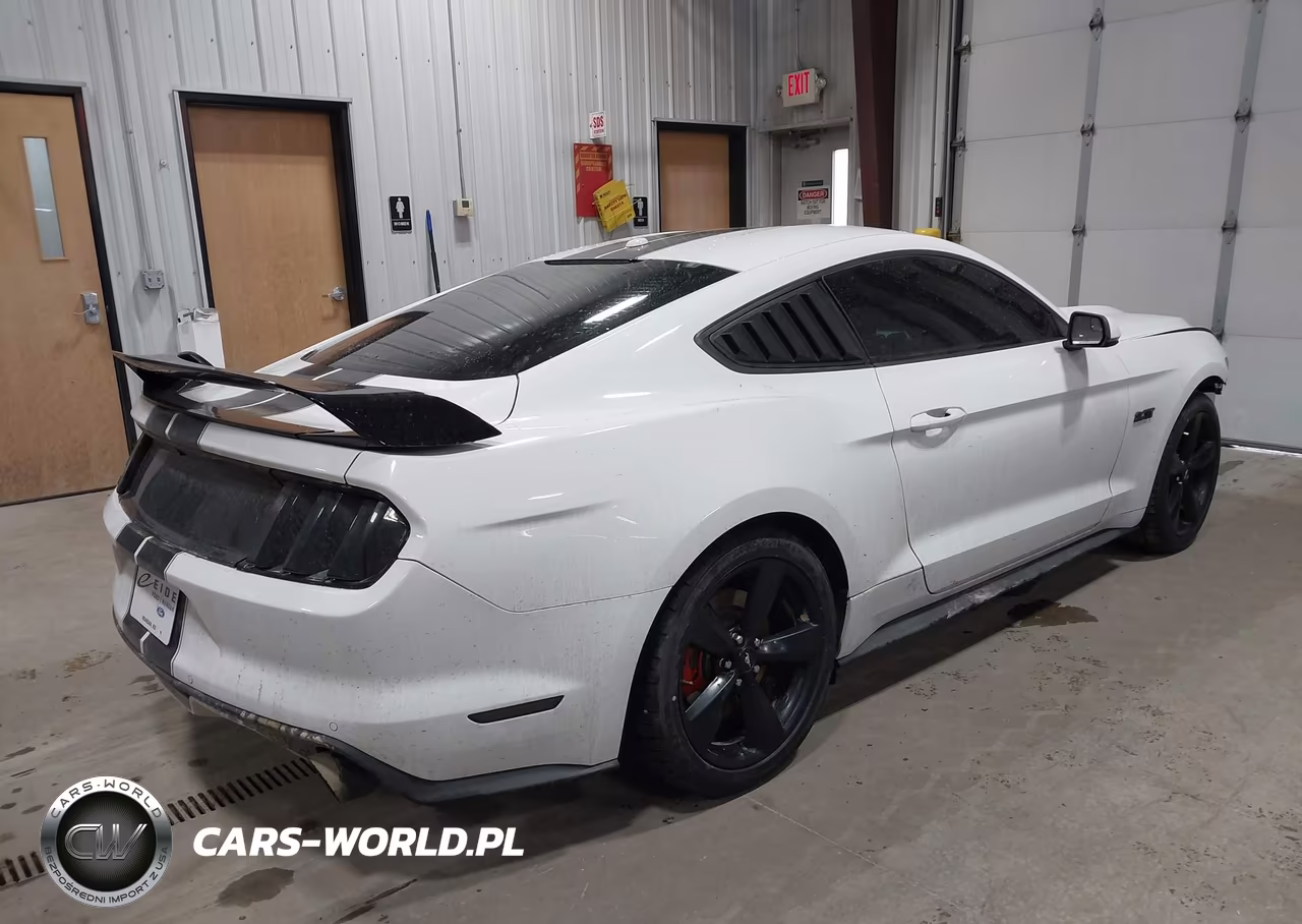 2016 Ford Mustang Ecoboost VIN:1FA6P8TH6G5334042 - 4