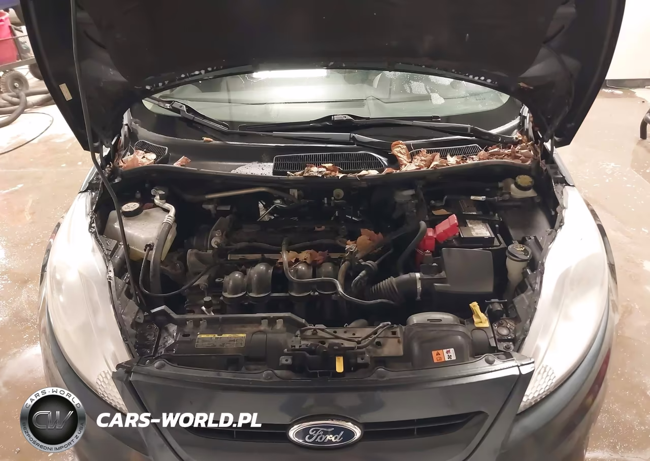 2011 Ford Fiesta Ses VIN:3FADP4FJ0BM204842 - 10
