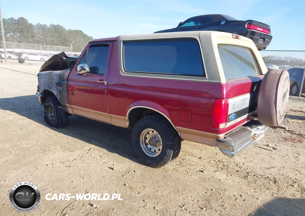 1994 Ford Bronco U100 VIN:1FMEU15H1RLB47188 - 3