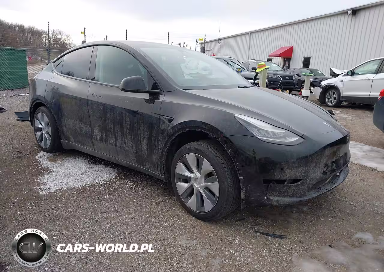 Główne zdjęcie 2020 Tesla Model Y Long Range Dual Motor All-Wheel Drive