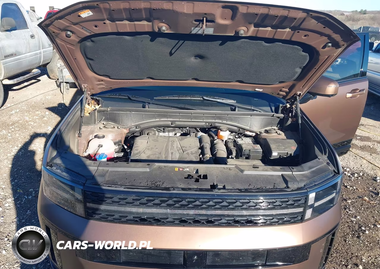 2024 Hyundai Santa Fe Calligraphy VIN:5NMP54GL2RH061130 - 10