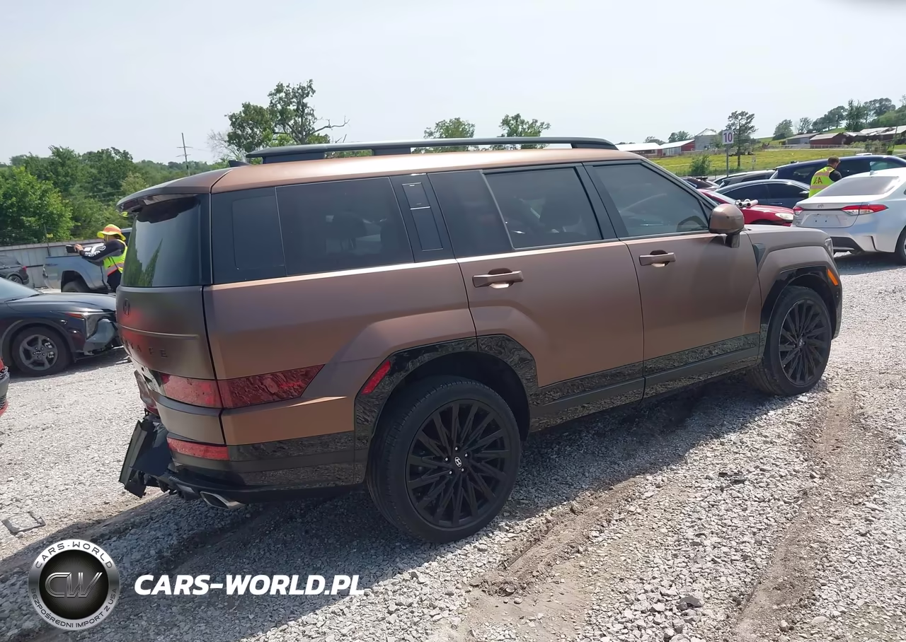 2024 Hyundai Santa Fe Calligraphy VIN:5NMP54GL2RH061130 - 4