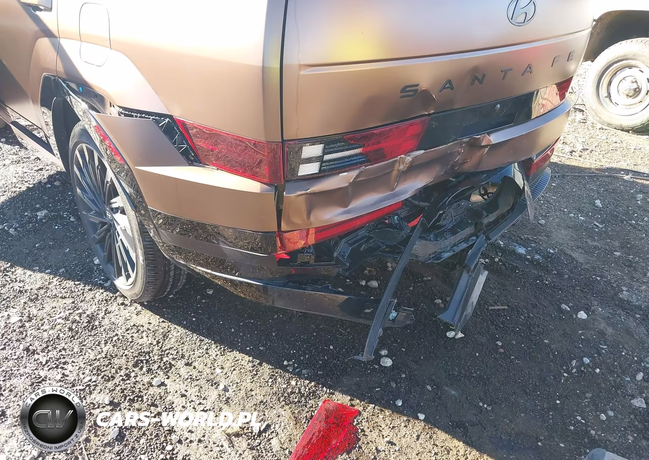 2024 Hyundai Santa Fe Calligraphy VIN:5NMP54GL2RH061130 - 6