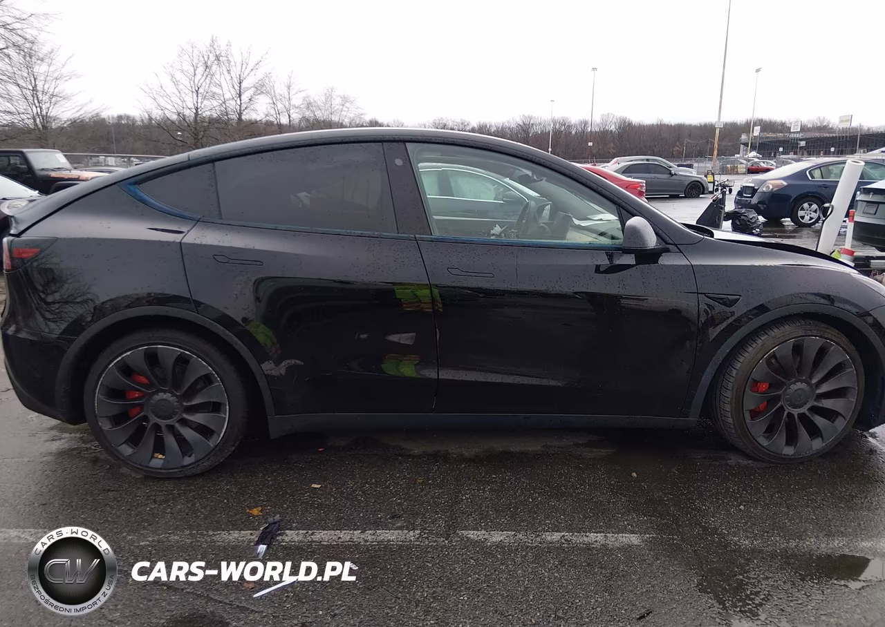 2022 Tesla Model Y Performance Dual Motor All-Wheel Drive VIN:7SAYGDEF2NF380201 - 12